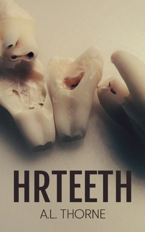 book cover of HRTeeth